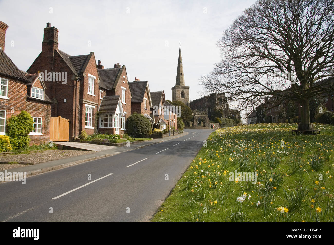 Astbury Cheshire England Regno Unito aprile le case si trovano in tutto il daffodil oggetto triangolare verde villaggio in questo grazioso borgo Foto Stock