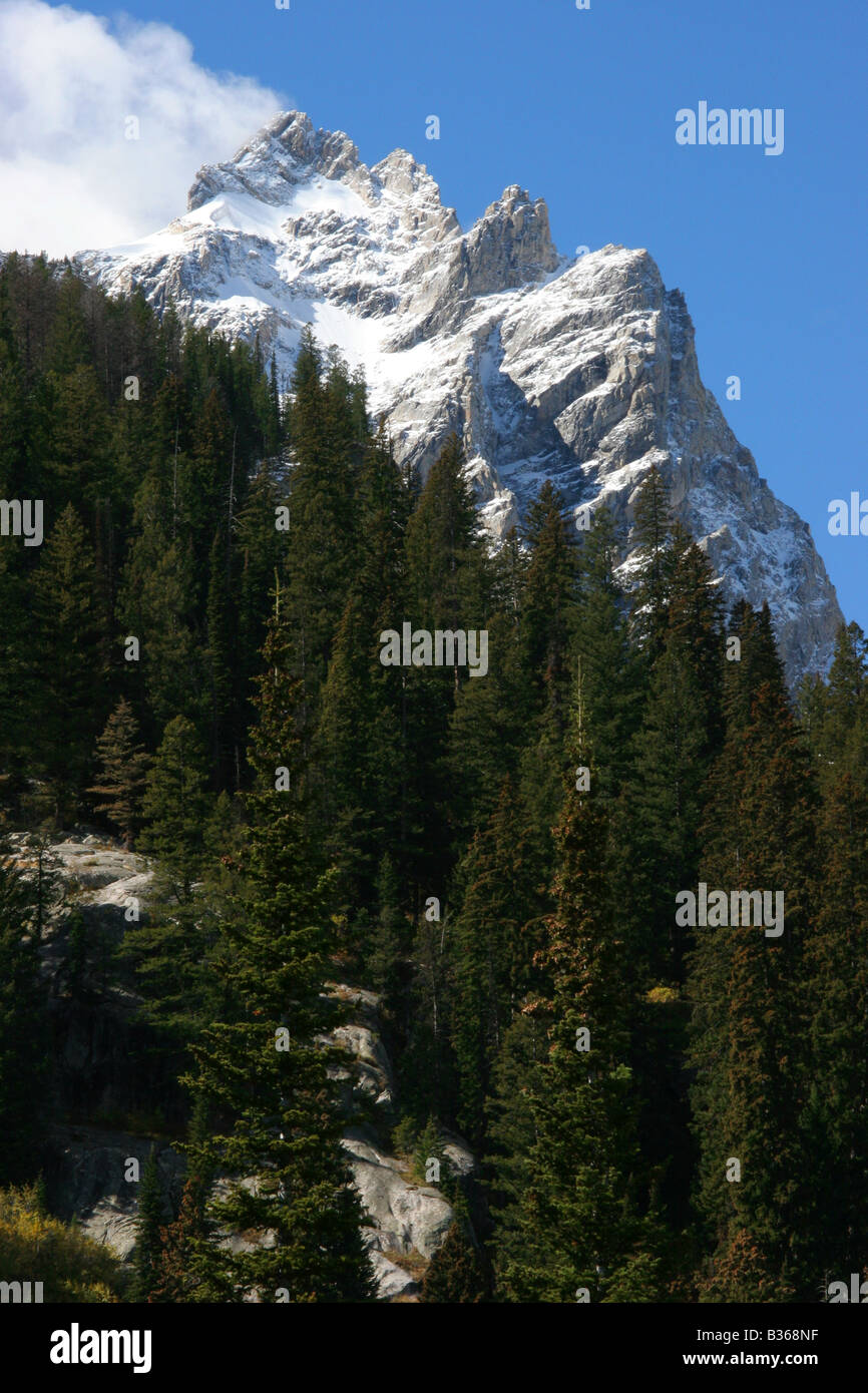 Grand Teton dal cascade canyon Foto Stock