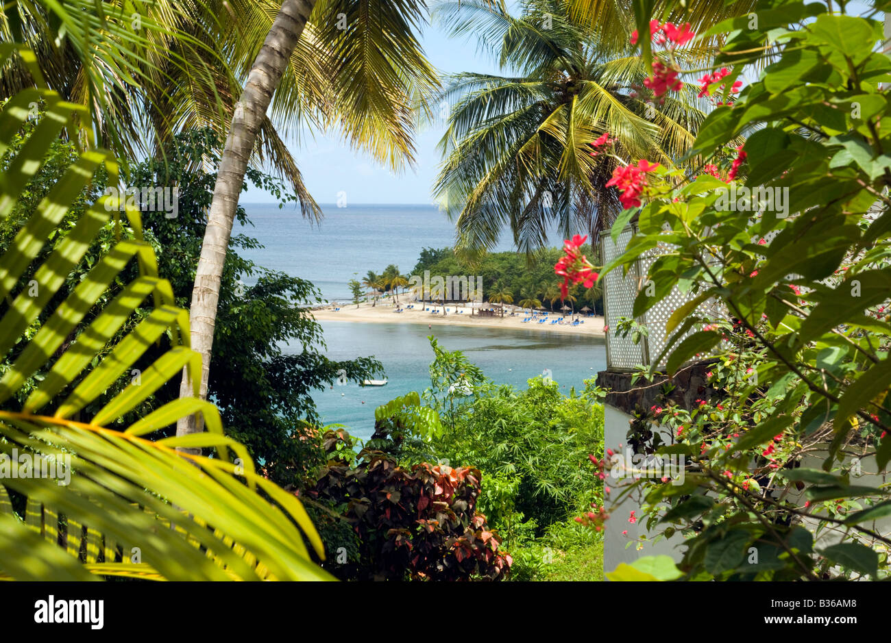 Vegetazione tropicale e la spiaggia paesaggio, Windjammer, St Lucia, isole Windward, West Indies Caraibi Foto Stock