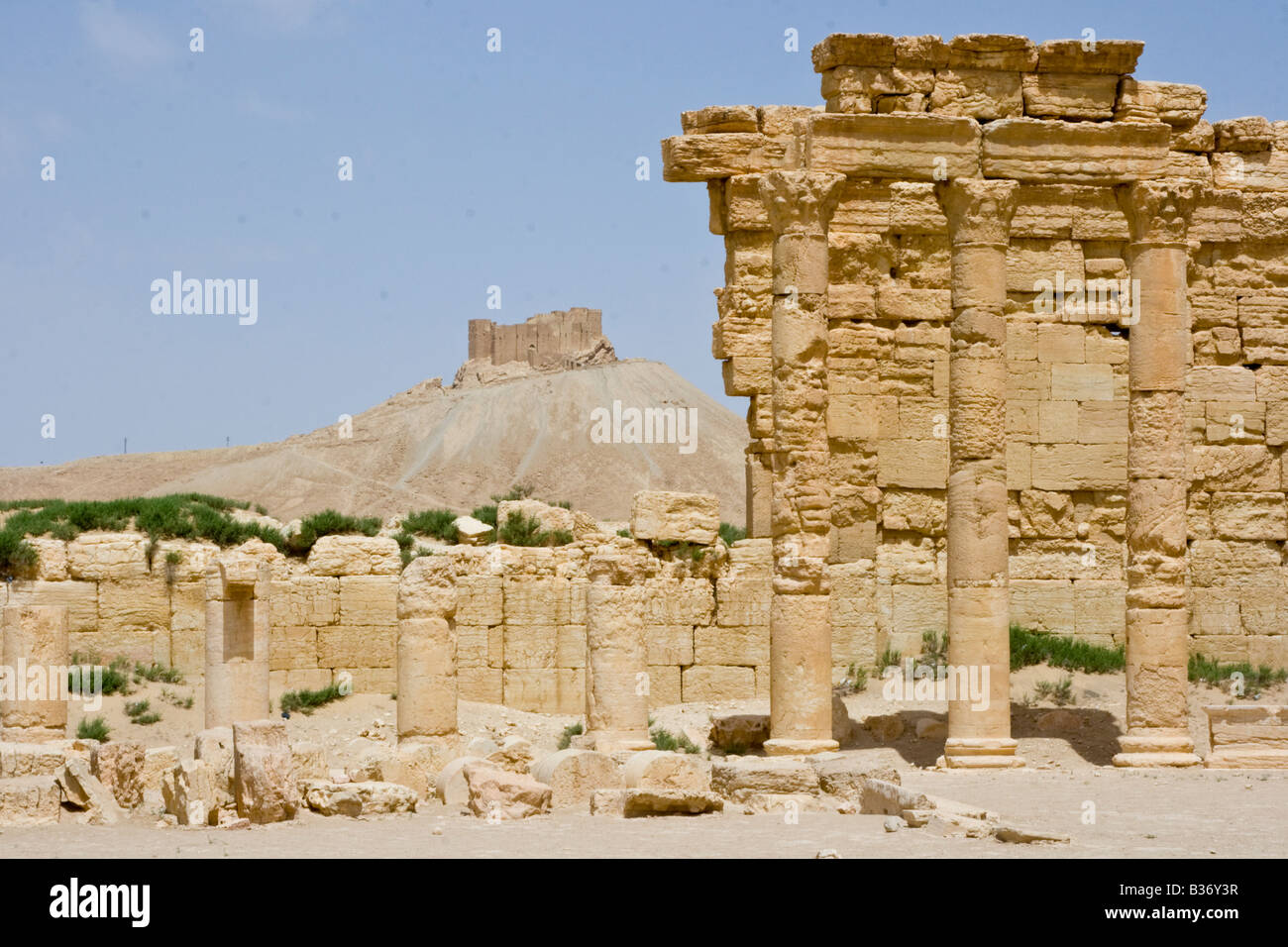 L'Agora romano e il castello arabo Qalaat Ibn Maan in Palmyra Siria Foto Stock