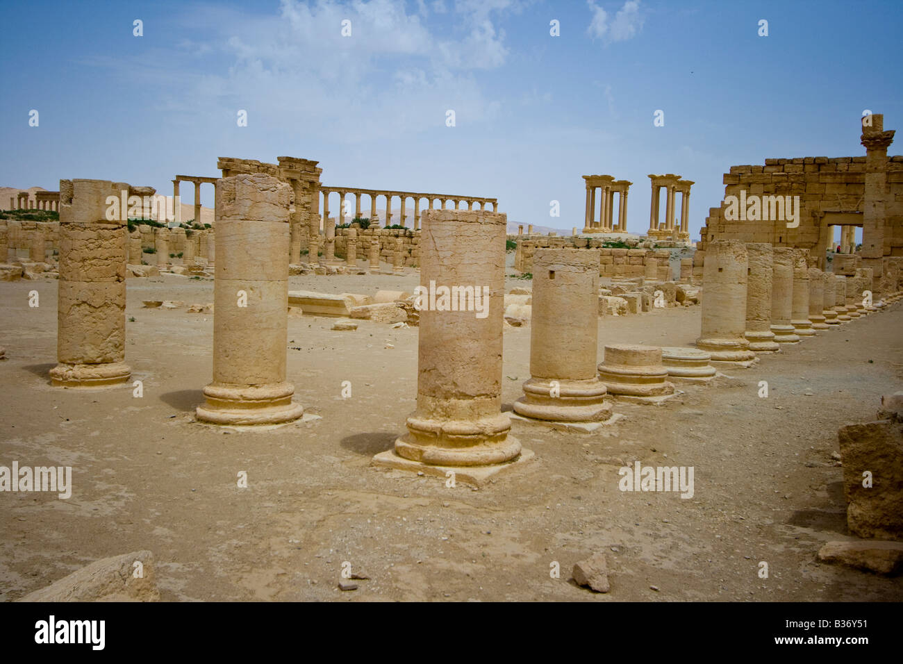 Antica Agora Romana a Palmyra in Siria Foto Stock