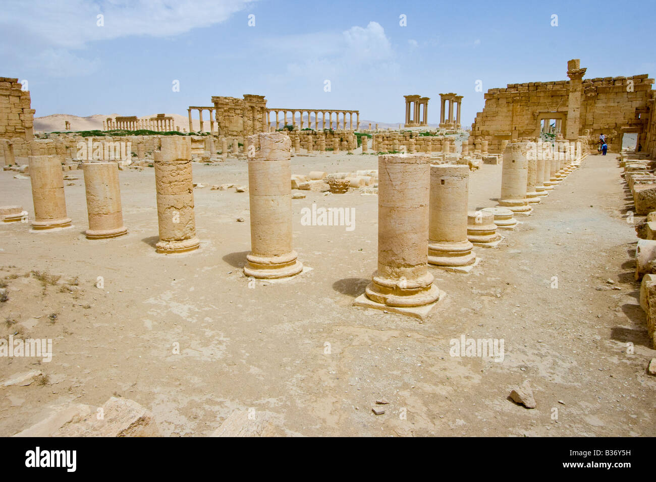 Antica Agora Romana a Palmyra in Siria Foto Stock