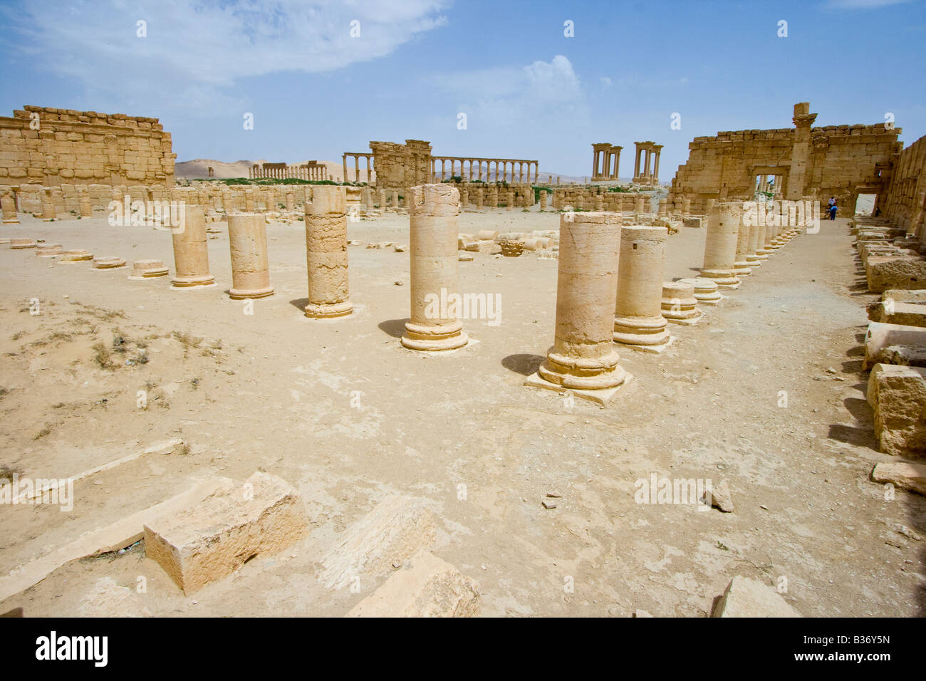 Antica Agora Romana a Palmyra in Siria Foto Stock