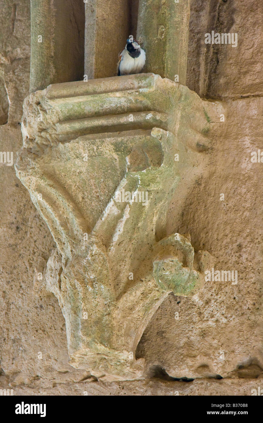 Dettaglio nel corridoio con soffitto a volta all'interno di Crak Des Chevaliers o Al Hosn Castello dei Crociati in Siria Foto Stock