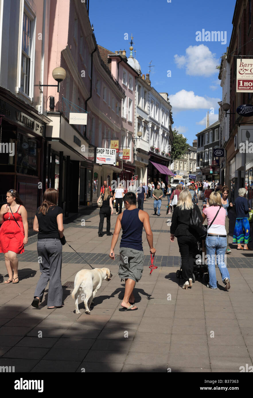 Gli amanti dello shopping a piedi su Norwich pedonale della strada di Londra in un giorno d'estate. Foto Stock