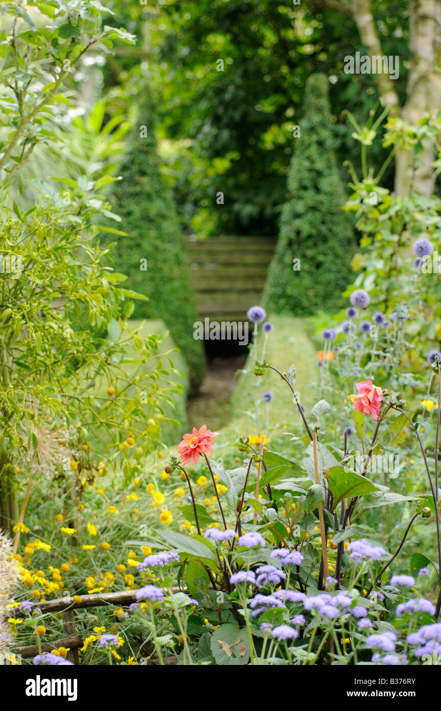 Rifilato Bosso copertura del percorso che conduce a un giardino posto in un giardino estivo Uk Agosto Foto Stock