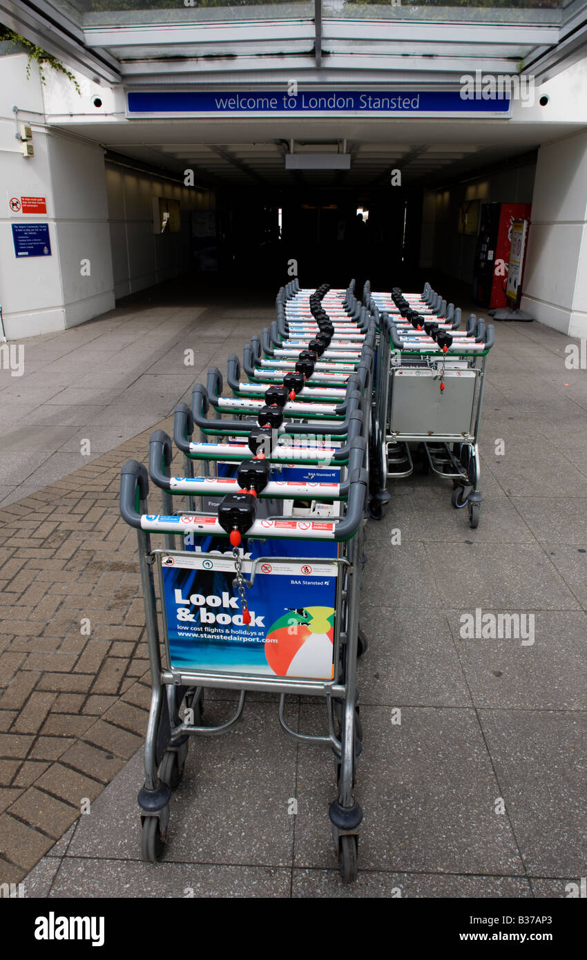Bagagli trollies all'ingresso BAA posseduto dall'Aeroporto Stansted di Londra Foto Stock