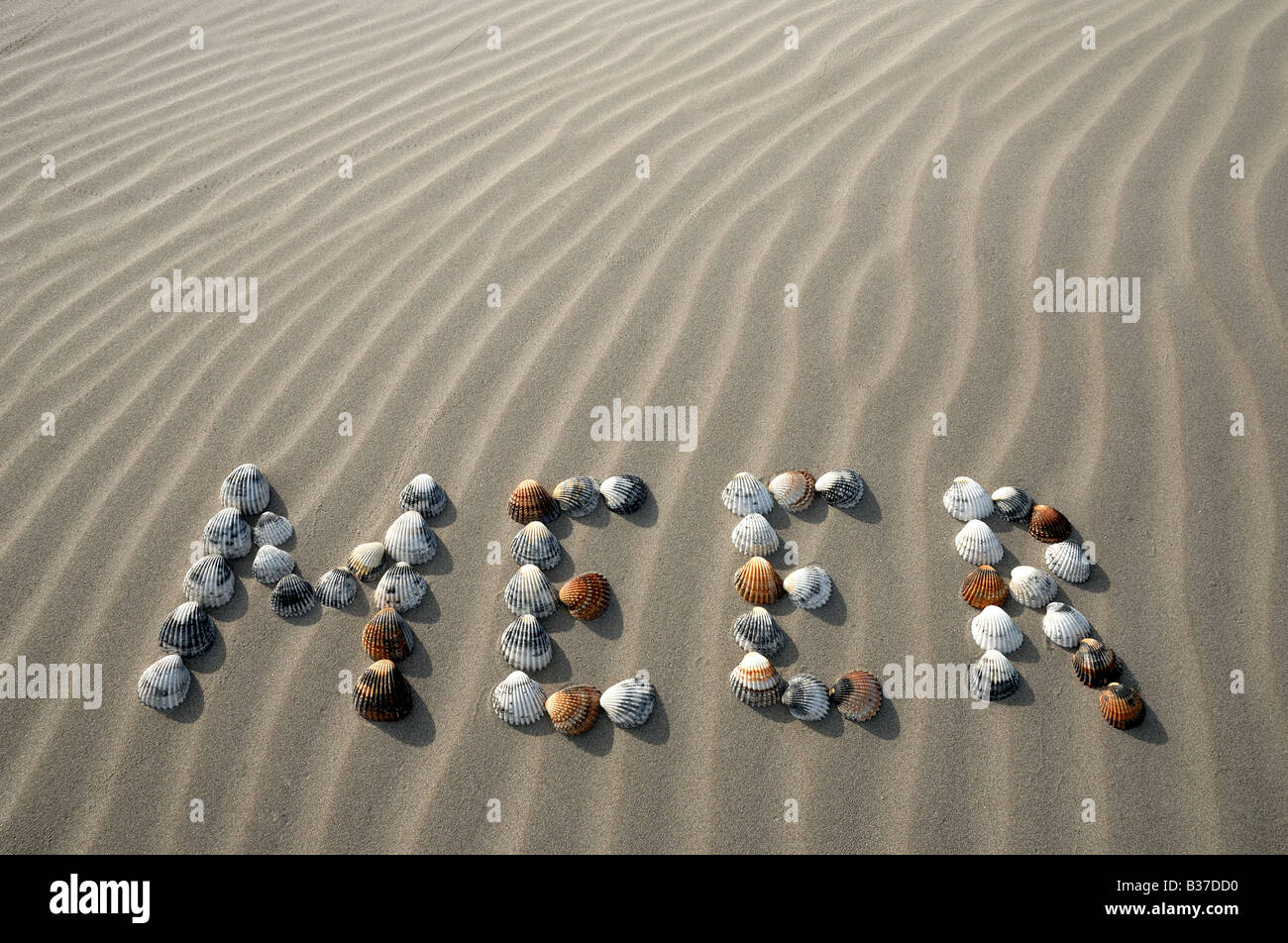 La parola Meer - Tedesco per mare, fatta di conchiglie sulla spiaggia Foto Stock
