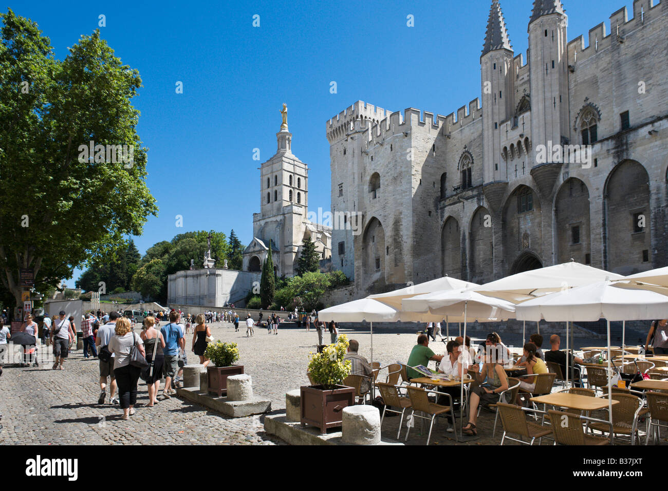 Cafè sul marciapiede di fronte al Palais des Papes e la cattedrale, Place du Palais, Avignone, Provenza, Francia Foto Stock