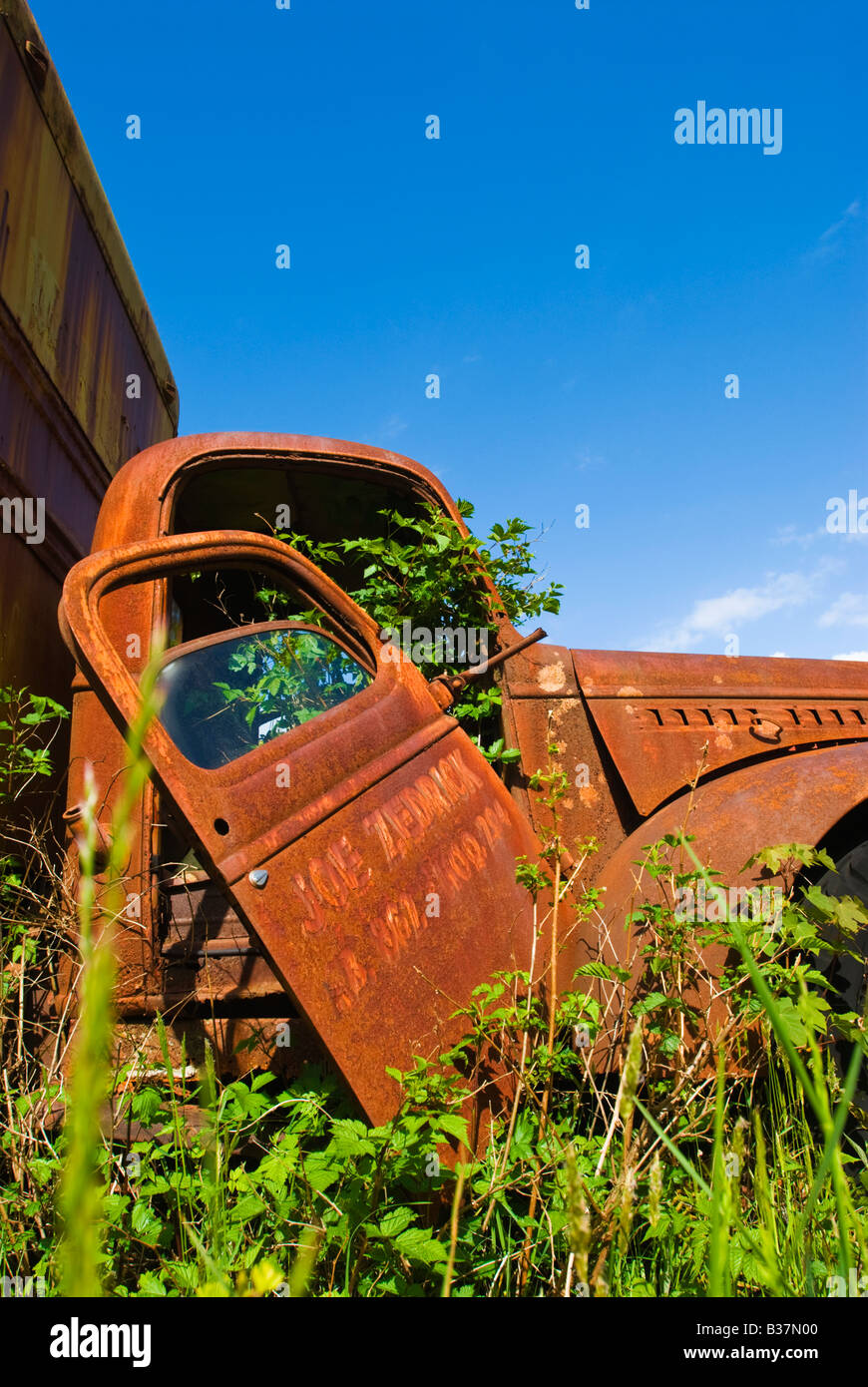 Vecchio arrugginito carrello alla Kestner Homestead Quinault Rain Forest Parco nazionale di Olympic Washington Foto Stock