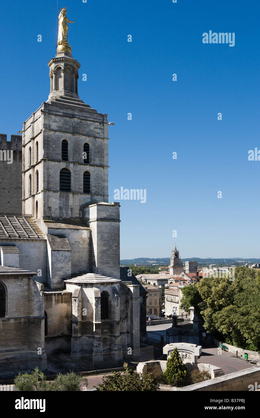 Vista sulla città vecchia e la Cattedrale di Notre Dame des Doms nel Palais des Papes complesso, Avignone, Provenza, Francia Foto Stock