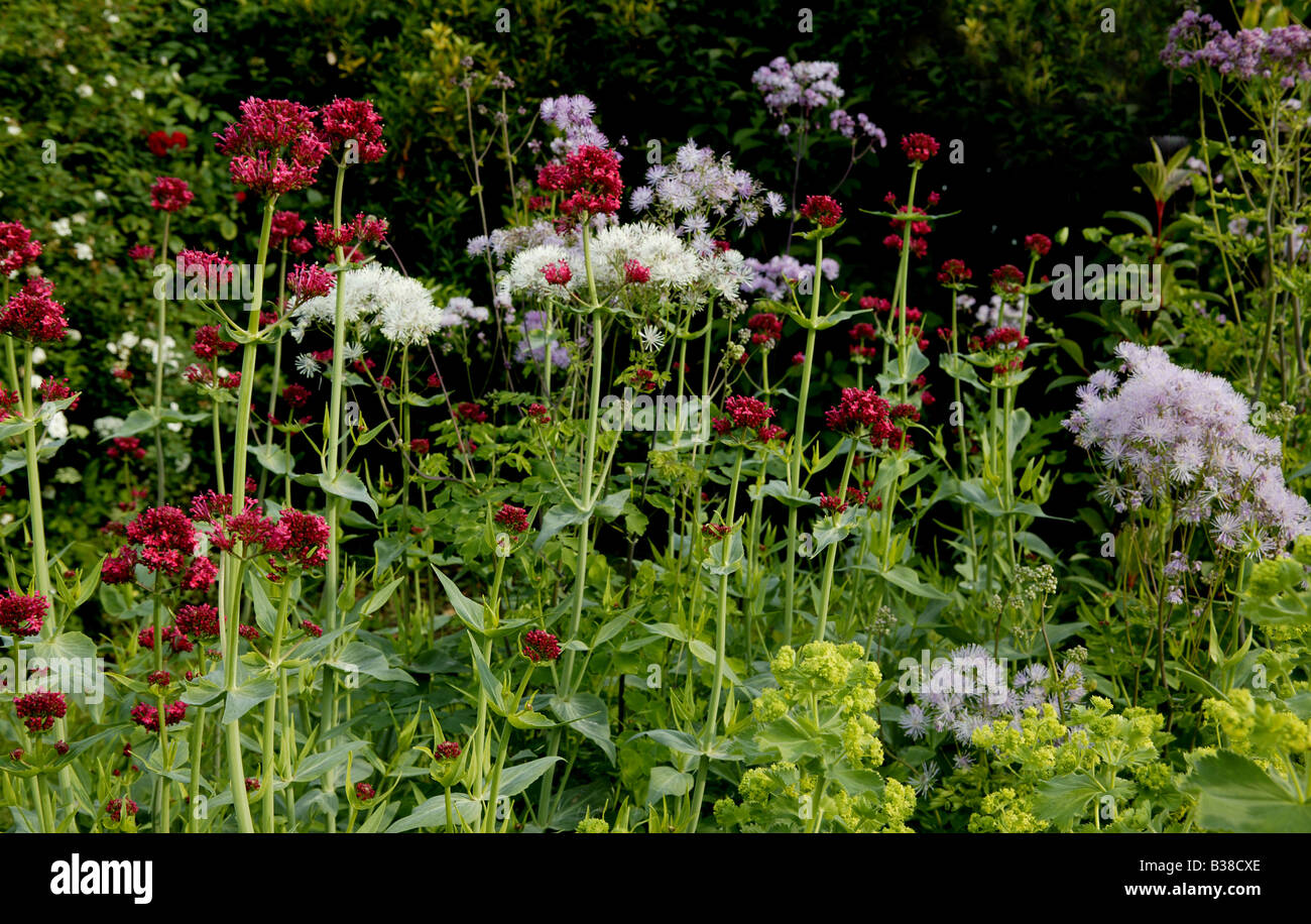 La molla designer moderno giardino paesaggio nel paesaggio orizzontale formato, compresi rosso luminoso e bianco fiori viola Foto Stock