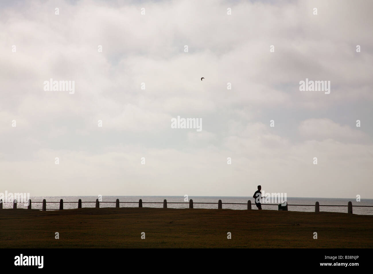 Fronte spiaggia promenade sillohette dell uomo che corre con Seagull in pieno volo Foto Stock