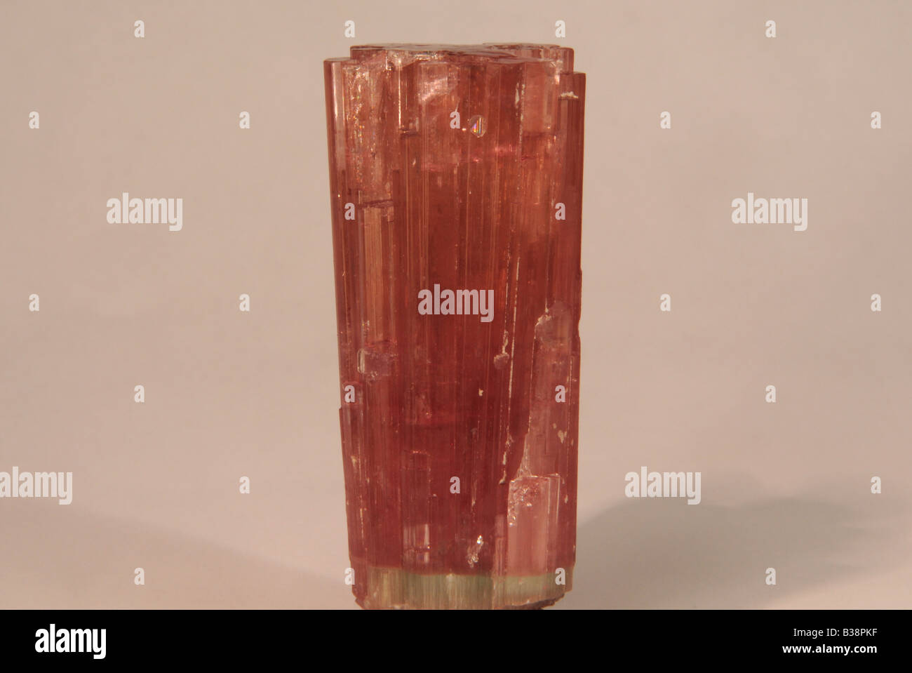 Tormalina rosa Crystal var. Elbaite con Lepidolite Foto Stock