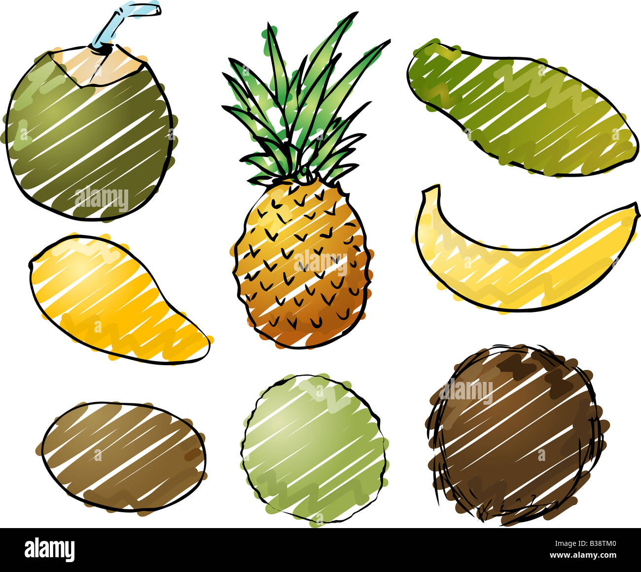 Illustrazione di frutti tropicali disegnati a mano ruvida look sketchy colorazione Foto Stock