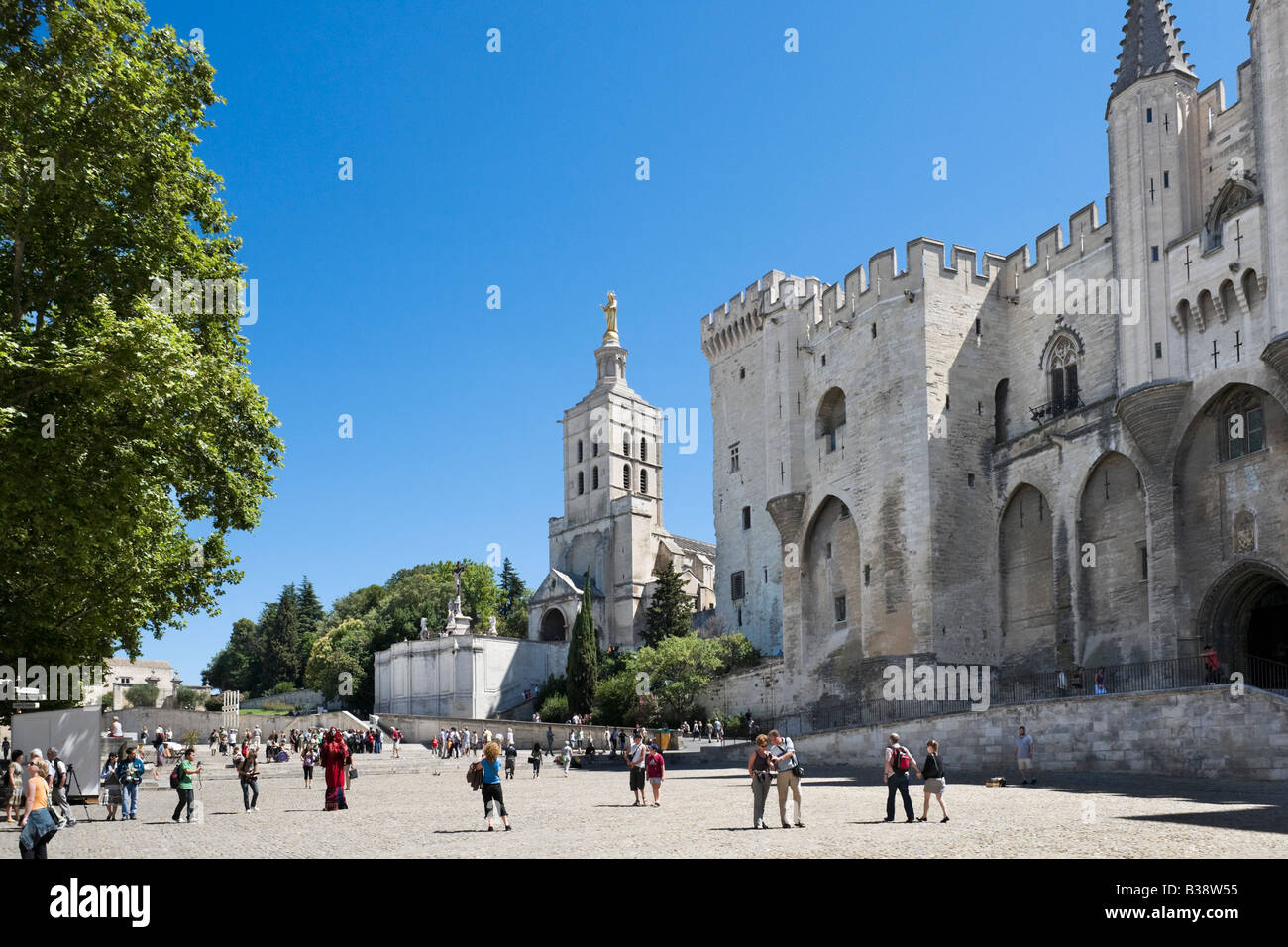 Palais des Papes e la Cattedrale di Notre Dame des Doms, Place du Palais, Avignone, Provenza, Francia Foto Stock