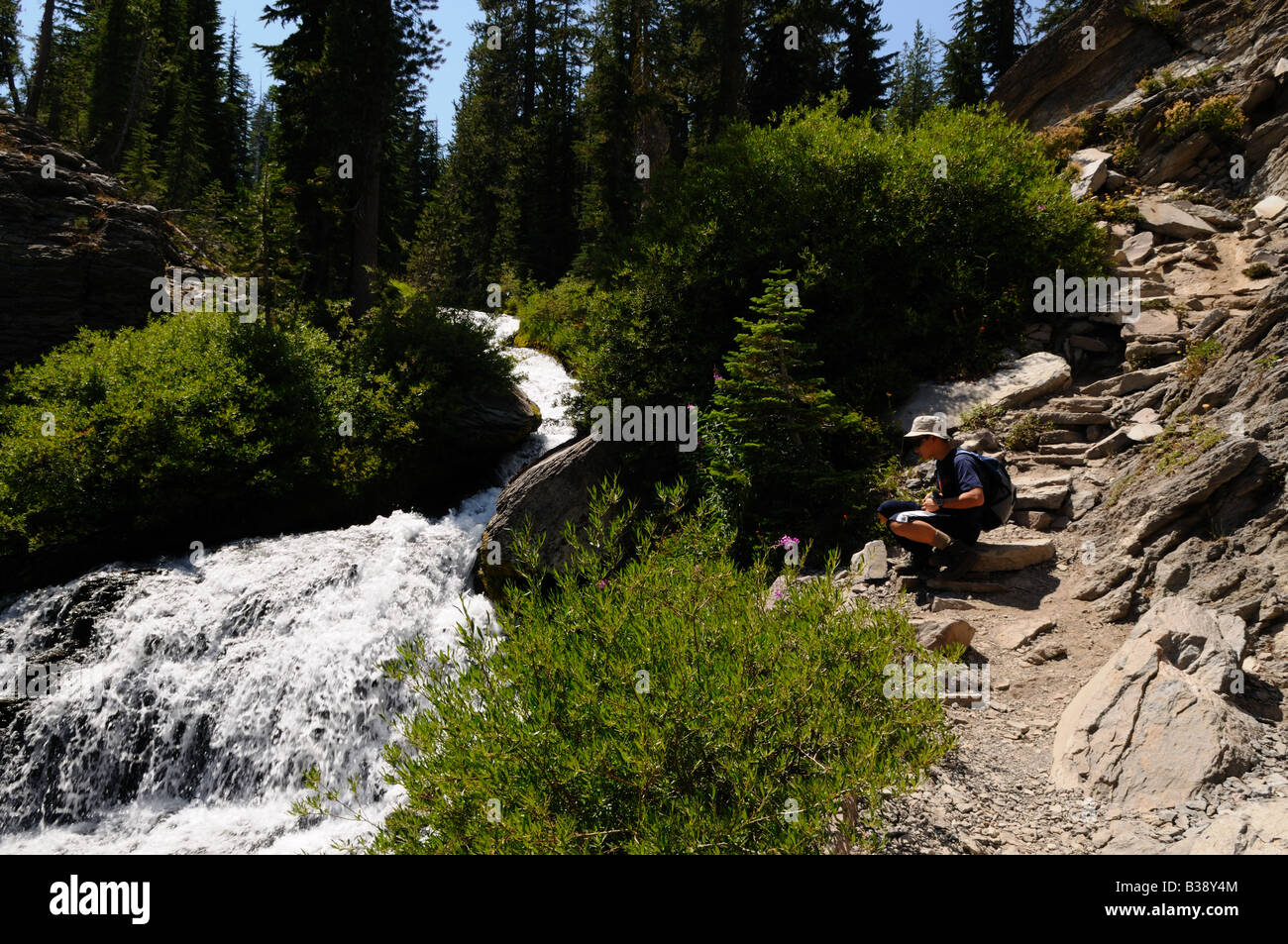 Un flusso cascate lungo un sentiero di montagna. Parco nazionale vulcanico di Lassen, California, Stati Uniti d'America. Foto Stock