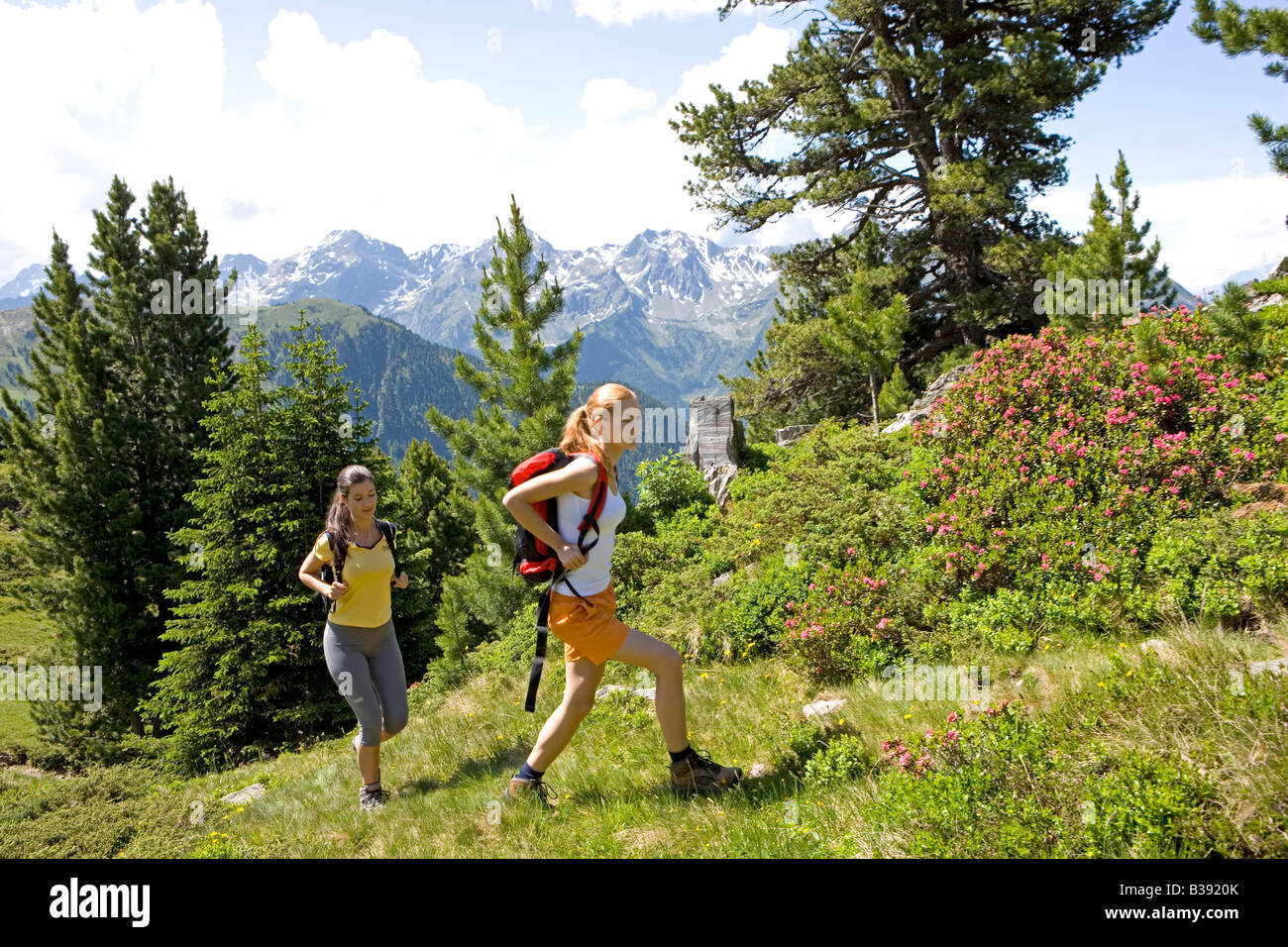 Zwei junge Frauen beim Wandern in den Bergen, due donne passeggiate in montagna Foto Stock