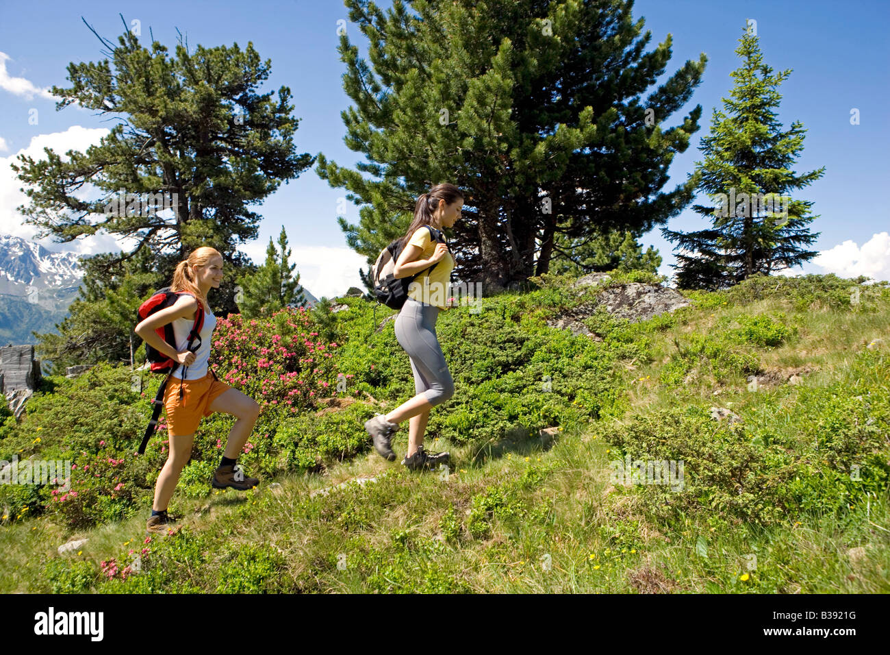 Zwei junge Frauen beim Wandern in den Bergen, due donne passeggiate in montagna Foto Stock