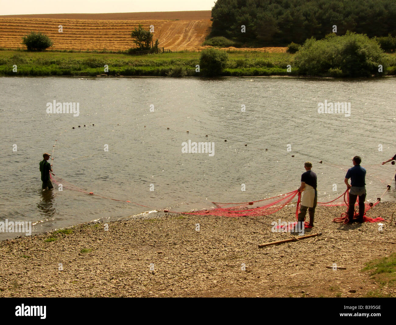 Station wagon di lavoratori presso Paxton House sul fiume Tweed vicino a Berwick haul un netto per il salmone Foto Stock