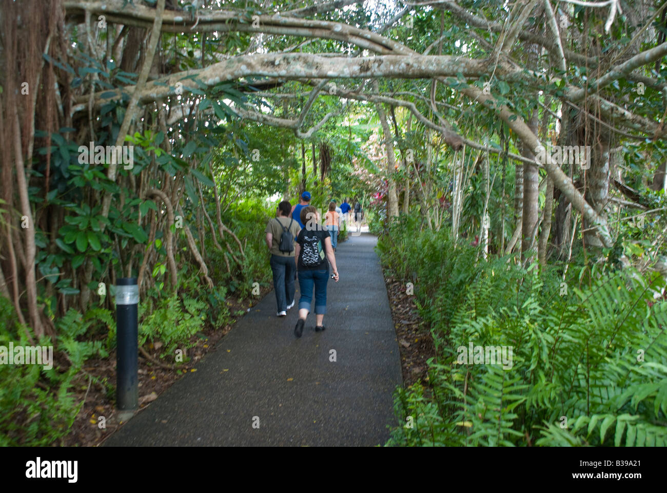 I turisti a piedi l'ombra di piante tropicali addobba marciapiedi di Kuranda sull'altopiano di Atherton del Queensland del nord Foto Stock