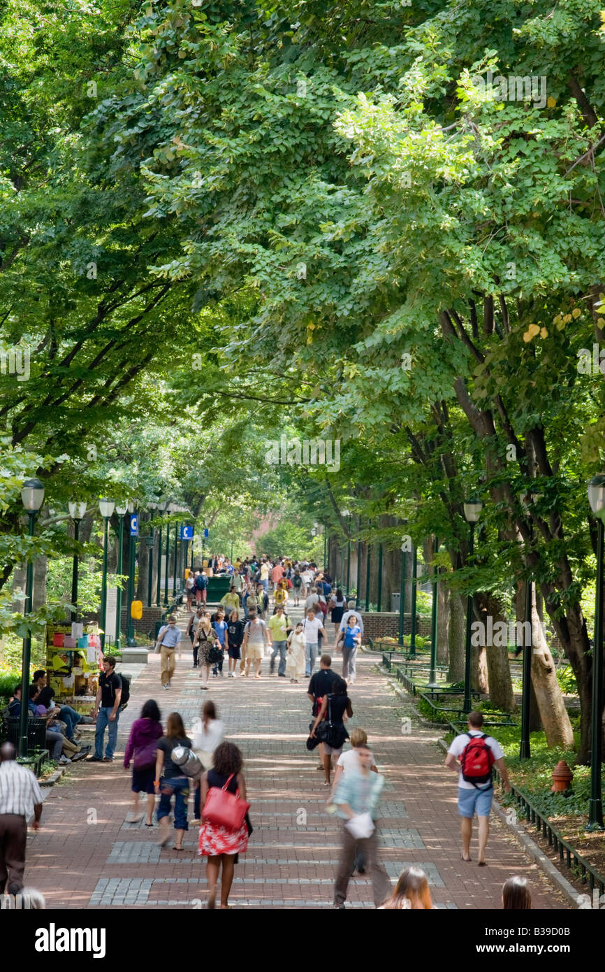 La locusta a piedi University of Pennsylvania Philadelphia Foto Stock