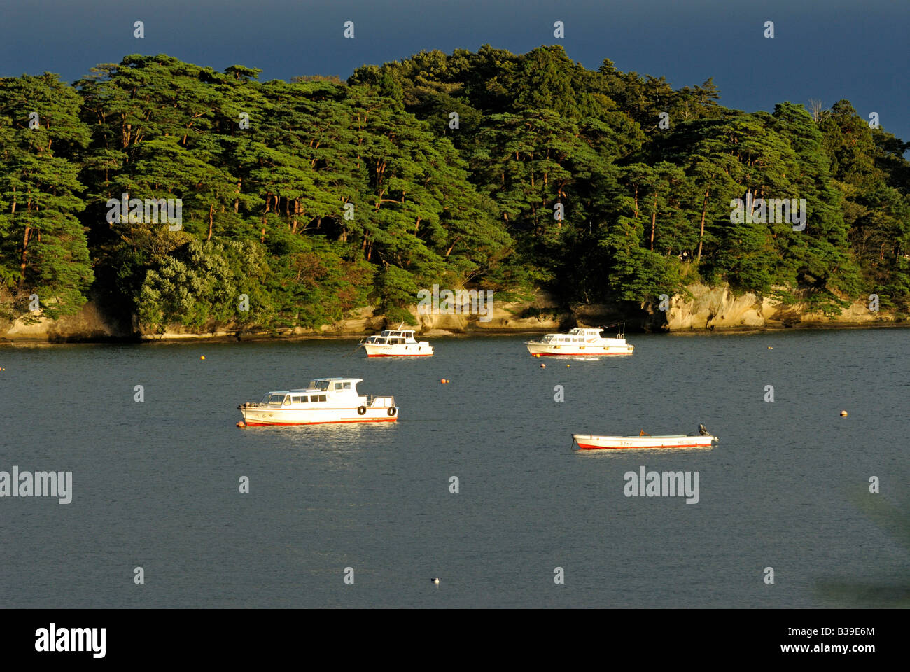 Navi e isole di pino di Matsushima Giappone Foto Stock