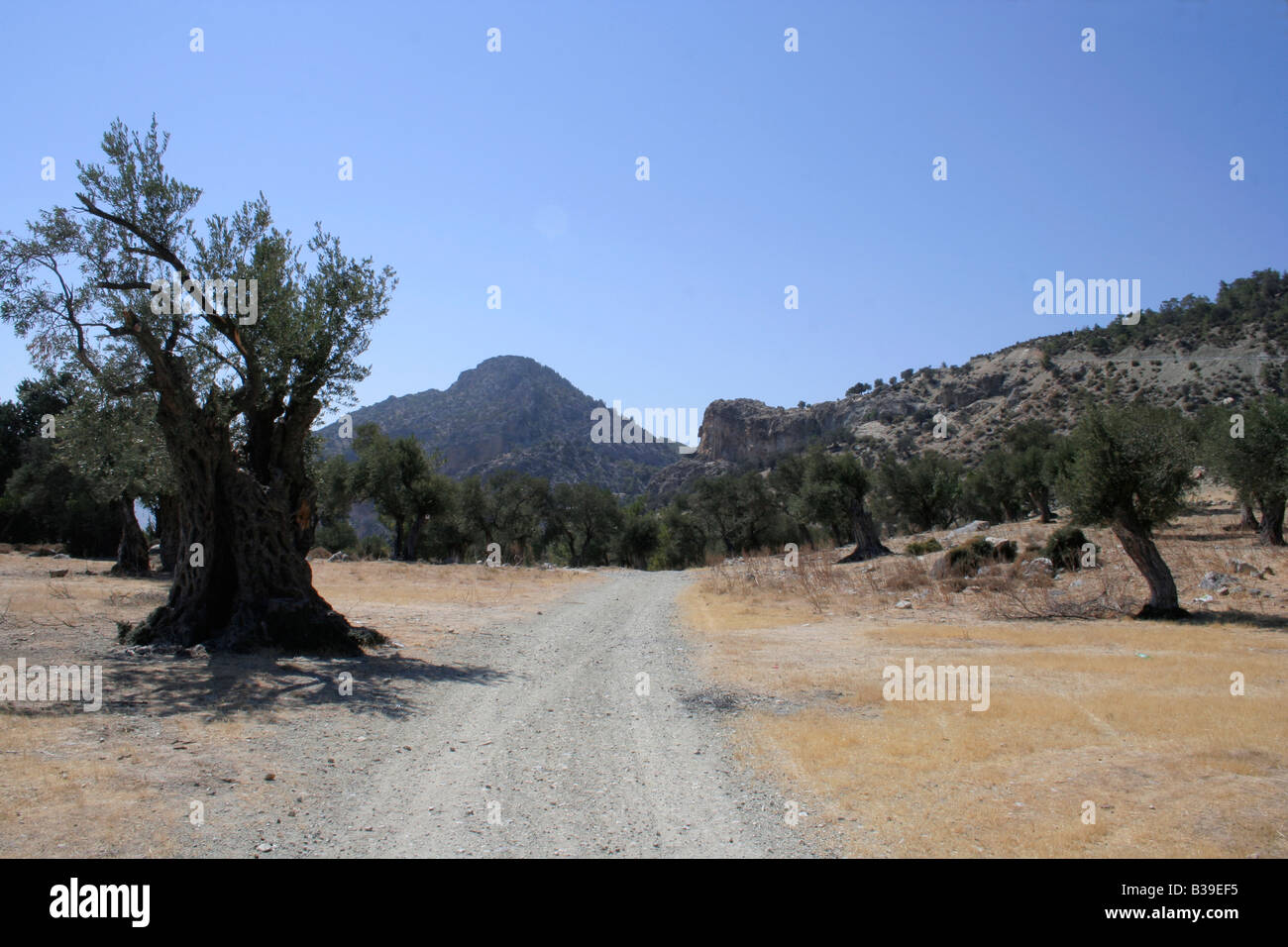 Pista di montagna da Kozan al serbatoio Gecitkoy Foto Stock