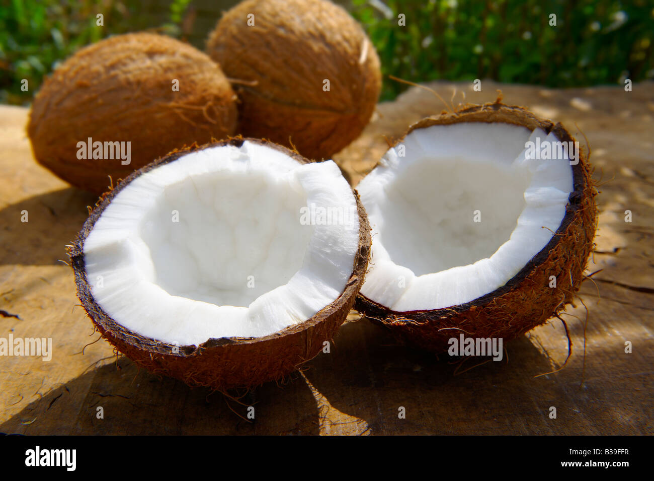 Fresco di cocco rotto , intero e aperto su un tavolo in un giardino Foto Stock