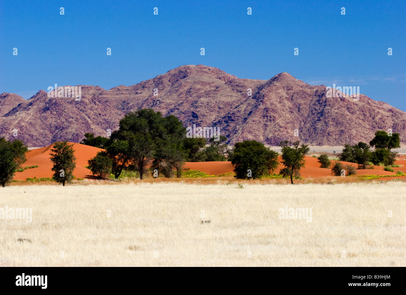 Paesaggio della Namibia Foto Stock