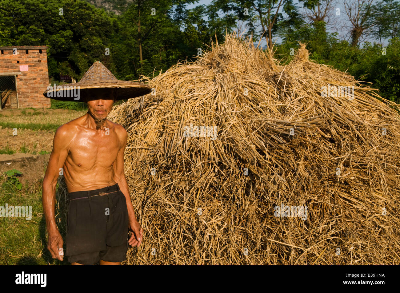 Un agricoltore cinese a lavorare nel suo campo Foto Stock