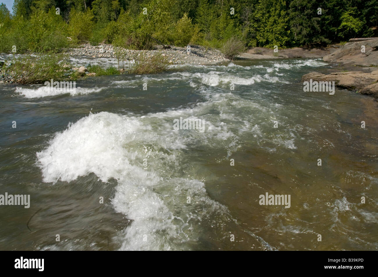 Che scorre veloce acque del fiume inglese Parksville Vancouver Island British Columbia Canada America del Nord Foto Stock