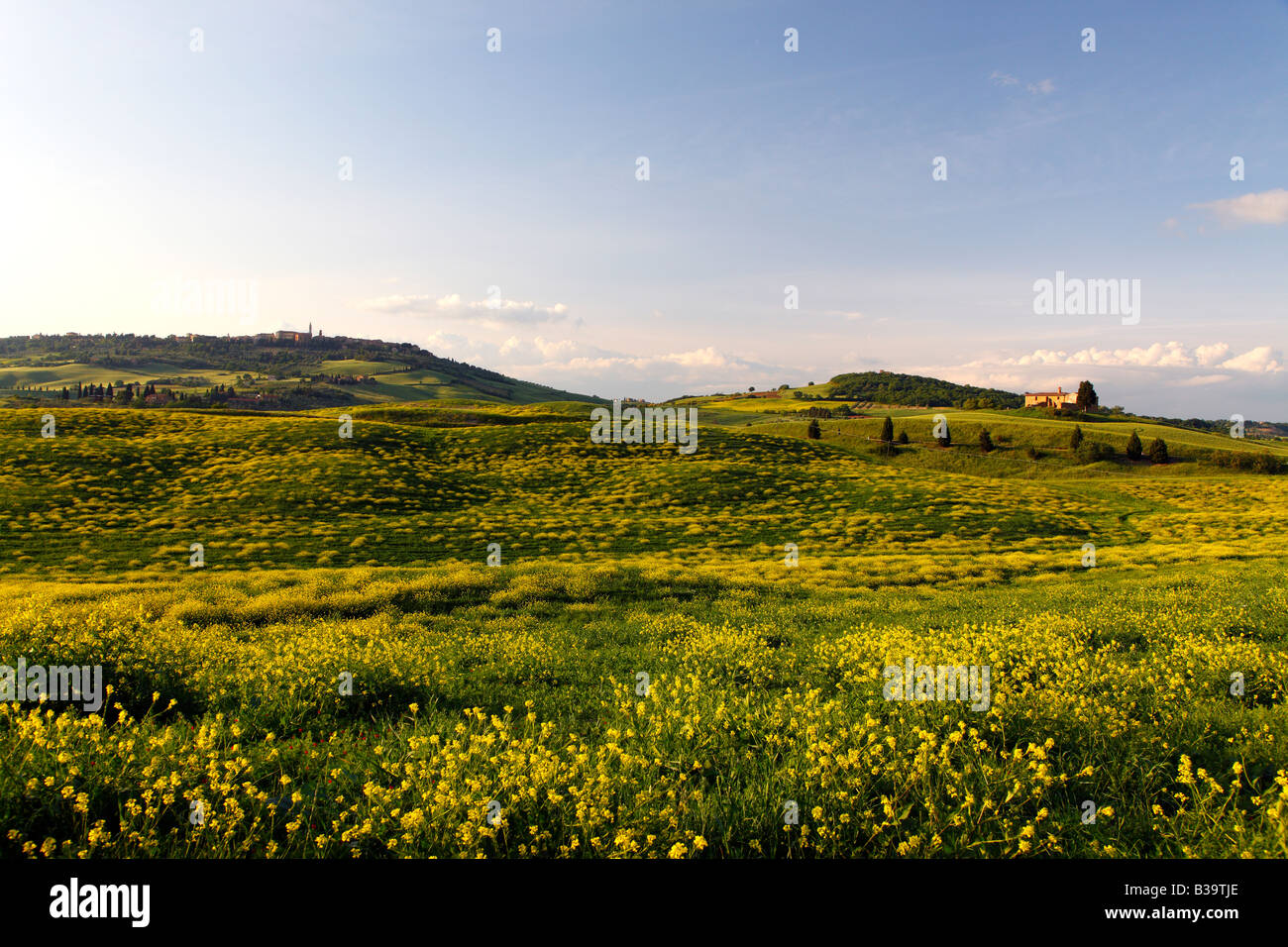 Vista verso la cittadina collinare di Pienza in prima serata luce, Toscana, Italia Foto Stock