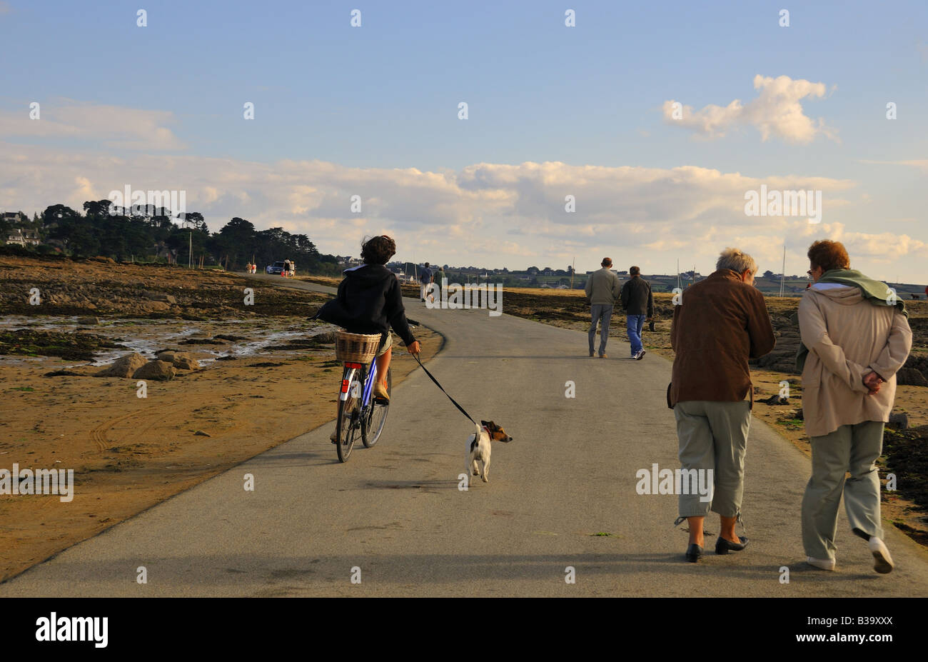 Donna in bicicletta con un cane al guinzaglio su una strada soggette ad  inondazioni Callot isola Finisterre Foto stock - Alamy