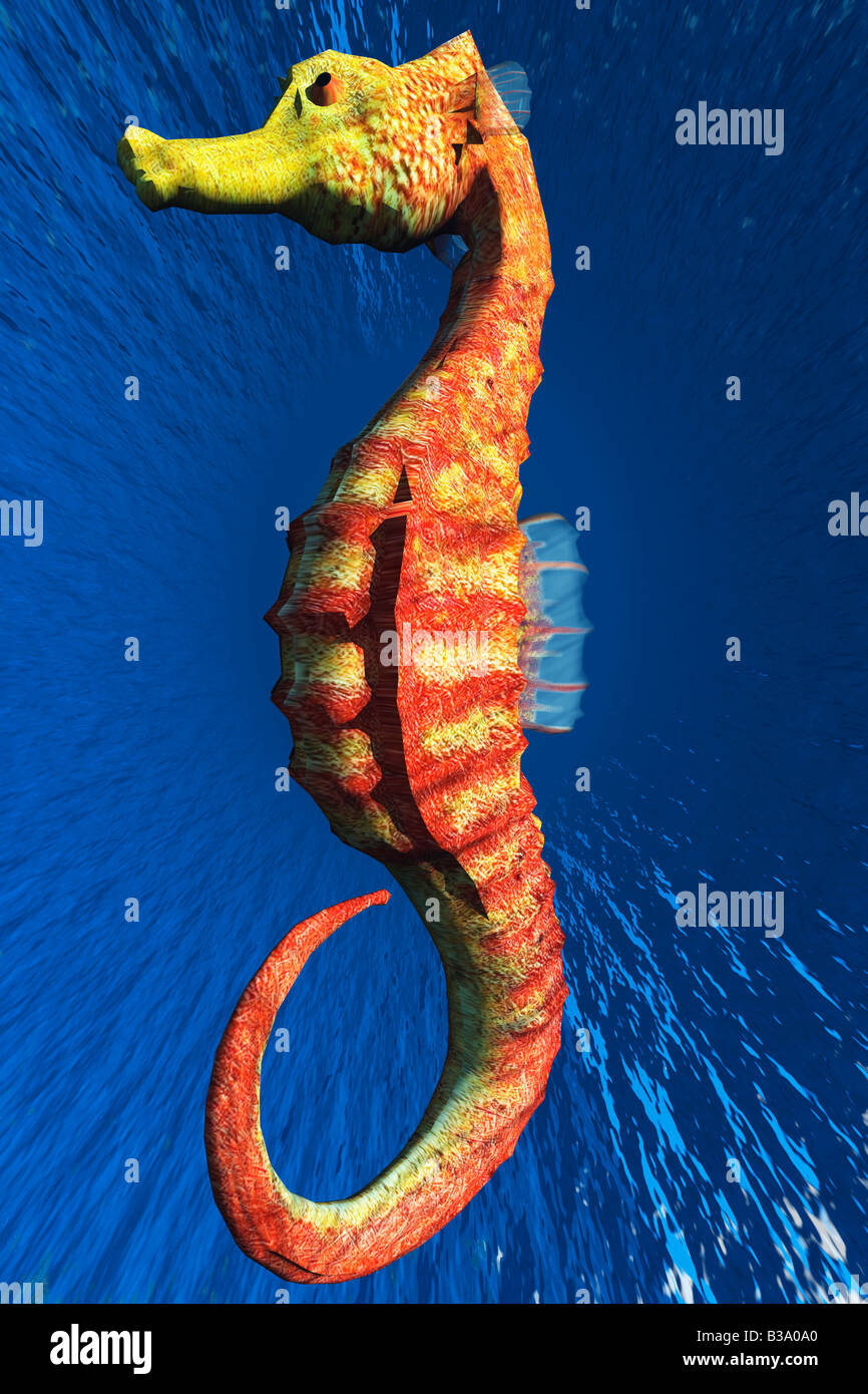 Computer illustrazione di un cavalluccio marino Foto Stock