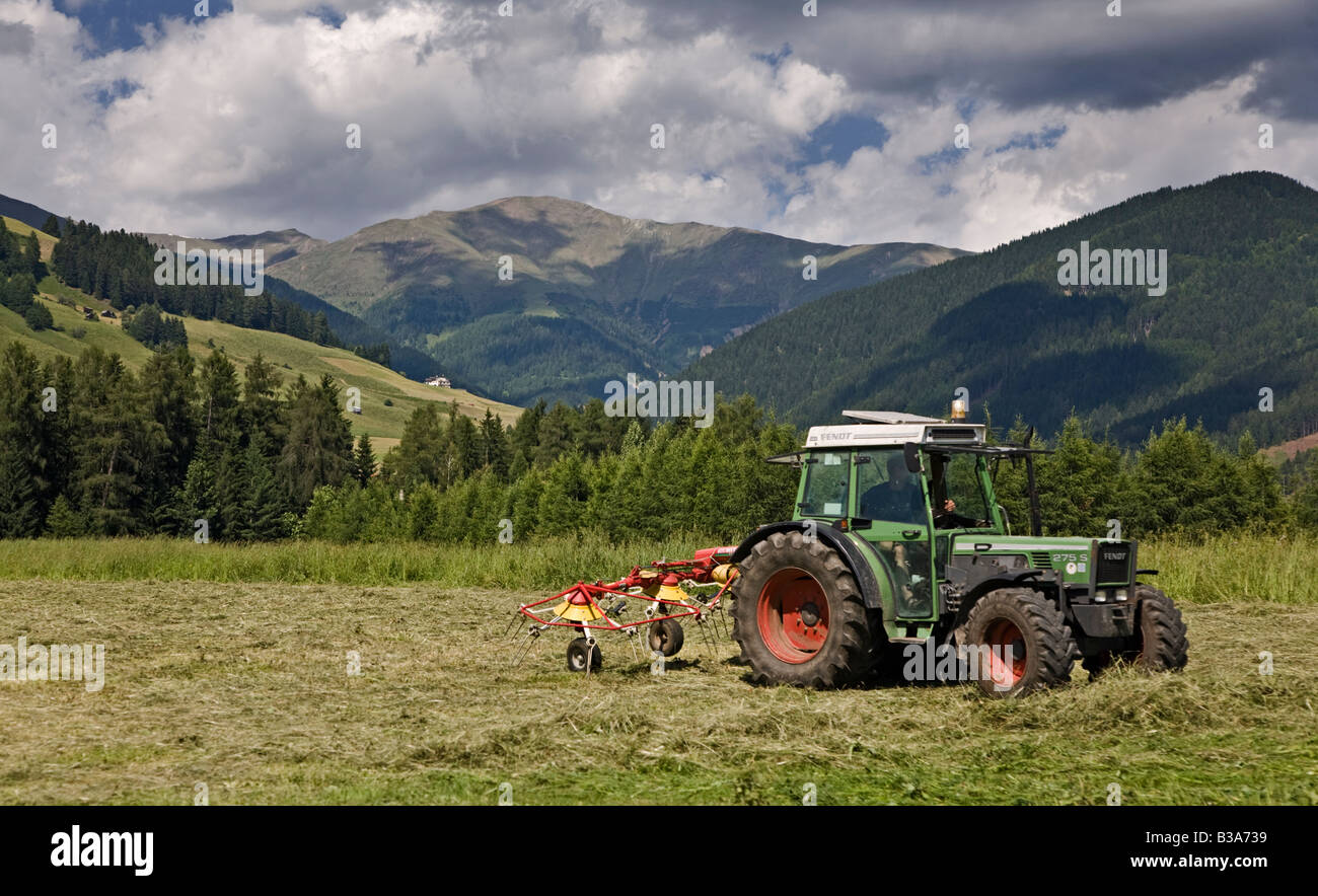 Il trattore fienagione in Val di Braies, Dolomiti, Italia Foto Stock