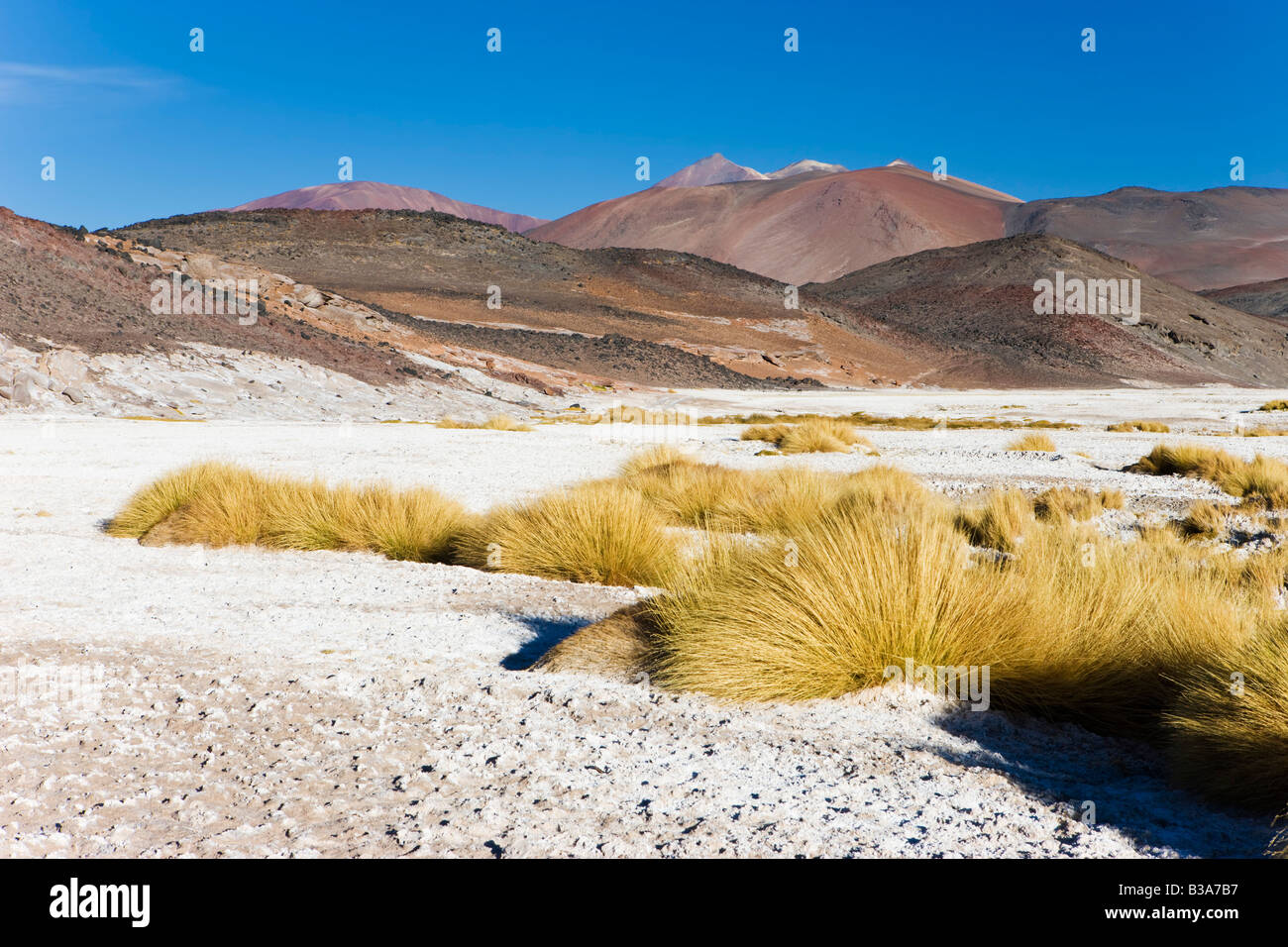 Il Cile, Antofagasta regione, il deserto di Atacama, los Flamencos Riserva nazionale Foto Stock
