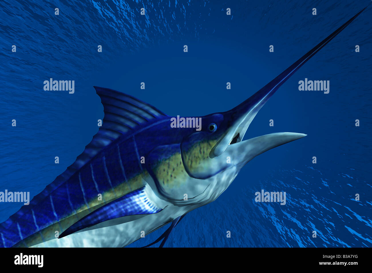 Computer illustrazione di un Marlin Foto Stock