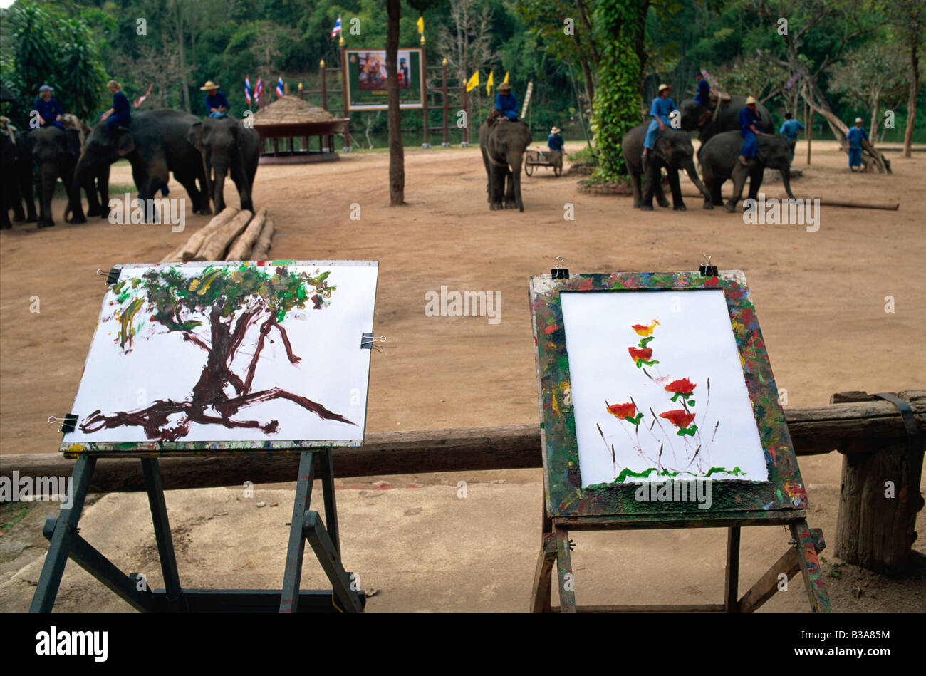 Thailandia Chiang Mai, il Campo degli Elefanti di Mae Sa, elefante arte Foto Stock