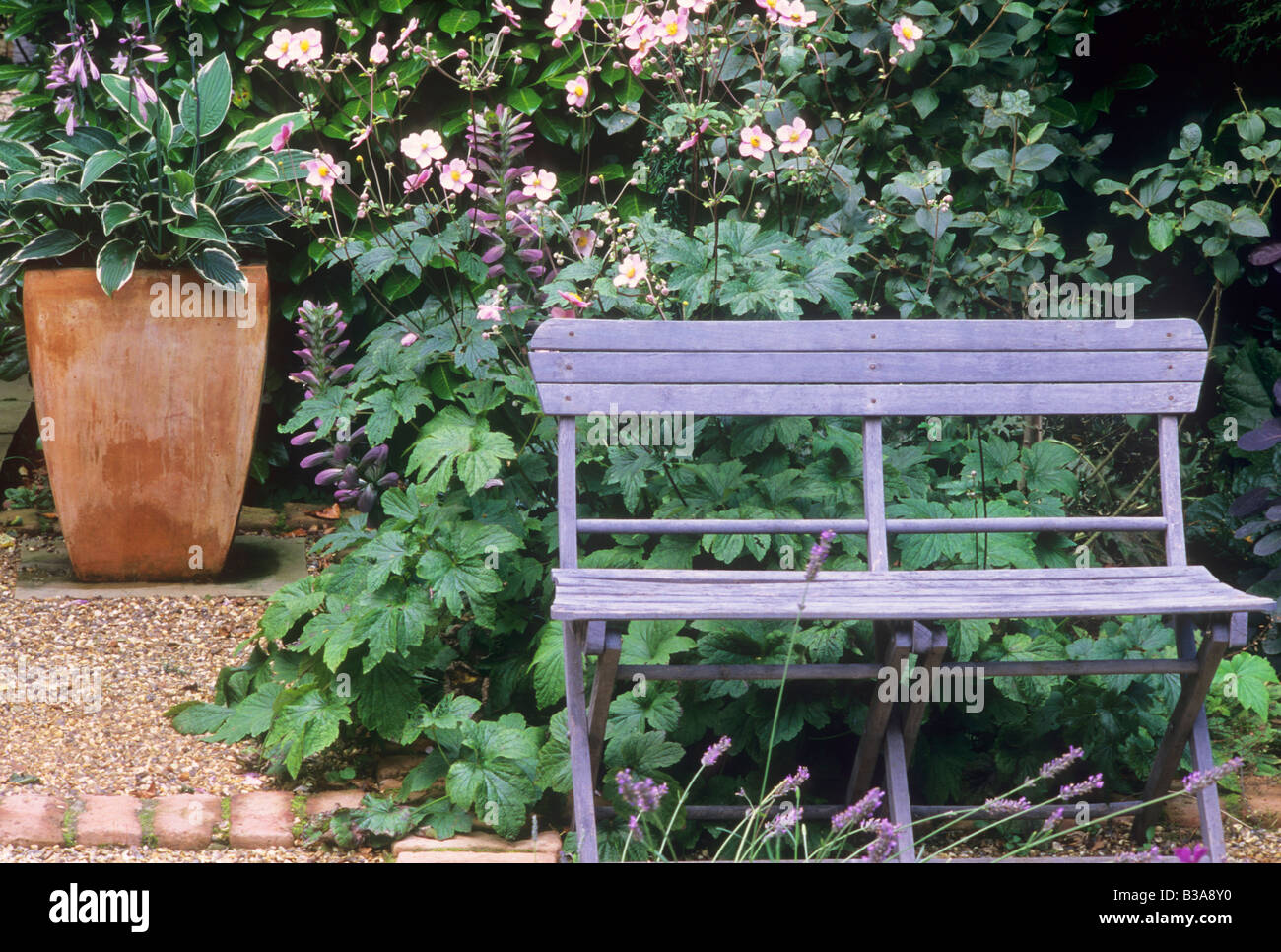 Piantatrice di terracotta con Hosta blu rustico dipinti panchina da giardino Anemone hybrida salotto vaso contenitore di piante da giardino fiori mattone Foto Stock