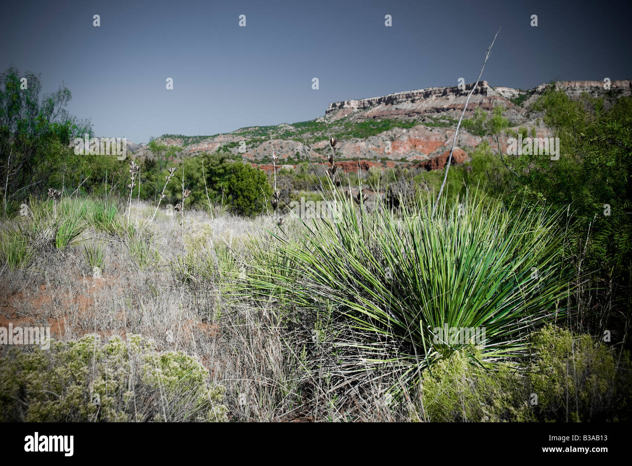 Stati Uniti d'America, Texas, Palo Duro Canyon, (seconda più grande negli Stati Uniti) Foto Stock