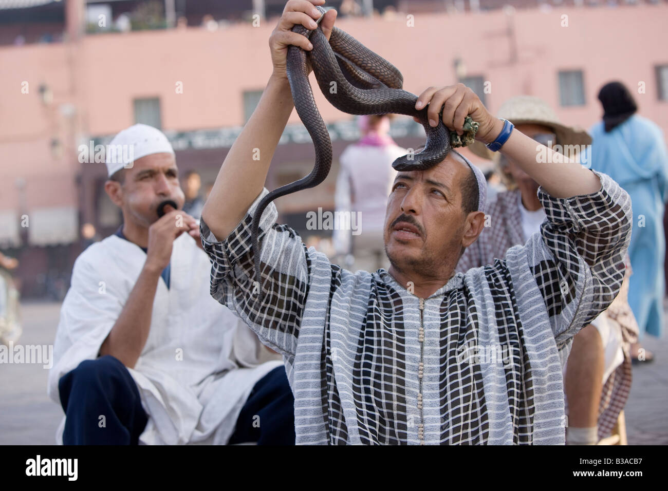 Il serpente incantatore in Piazza Jemaa El Fna a Marrakech Foto Stock