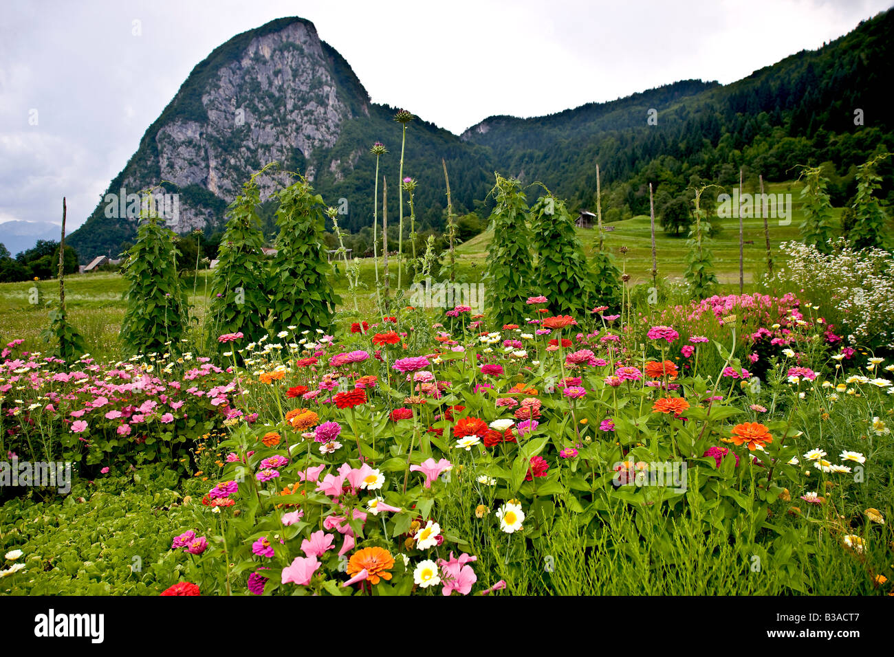 Valle fertile nel Parco Nazionale del Triglav in Slovenia Foto Stock