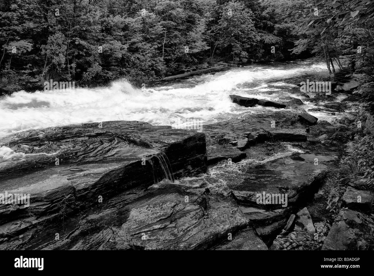 Run off dal latticello cade come si fa il suo cammino verso il lago di Boshkung dopo una tempesta pesante Foto Stock