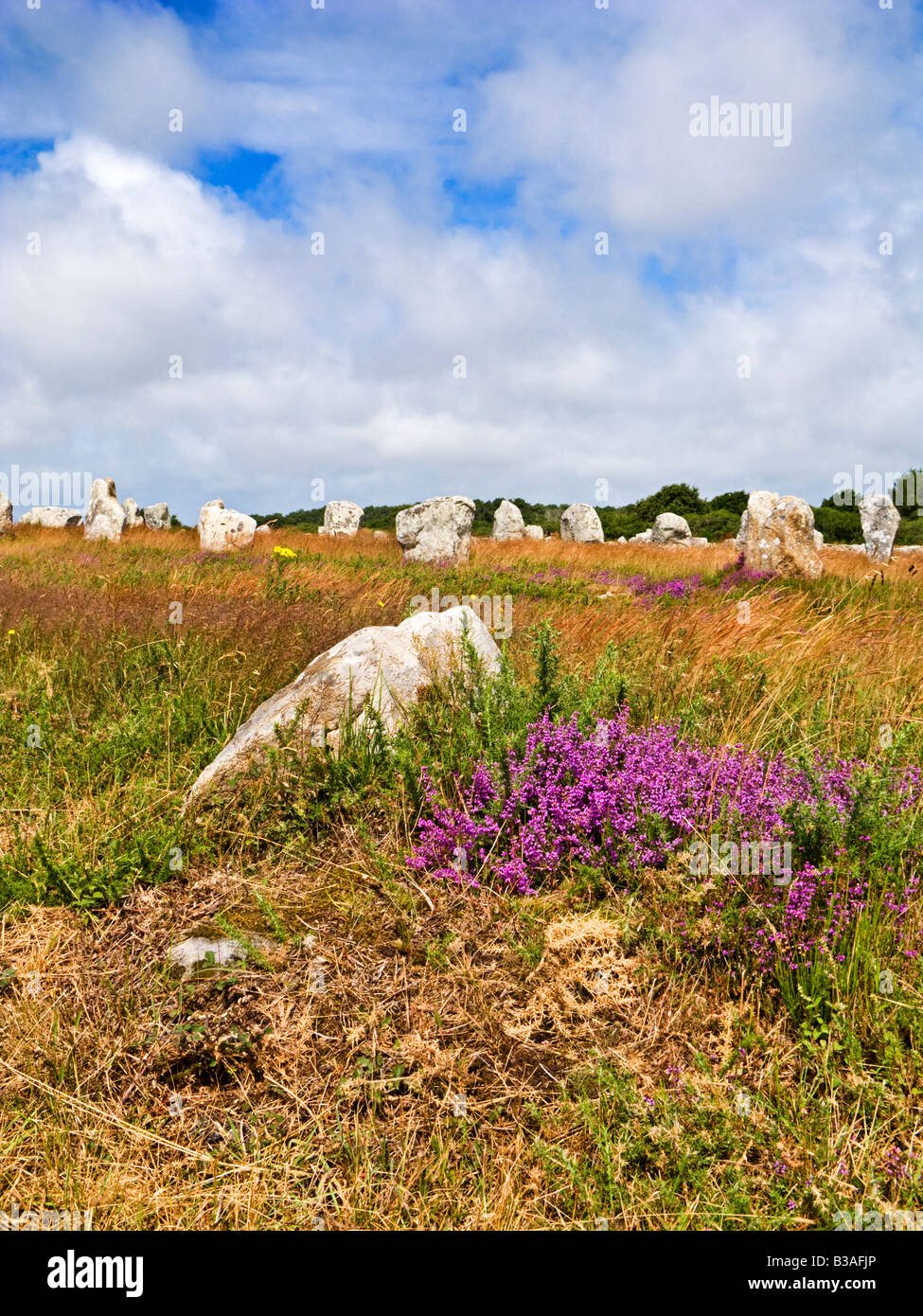 Alignements du Menec pietre permanente a Carnac Morbihan Bretagna Francia Europa Foto Stock