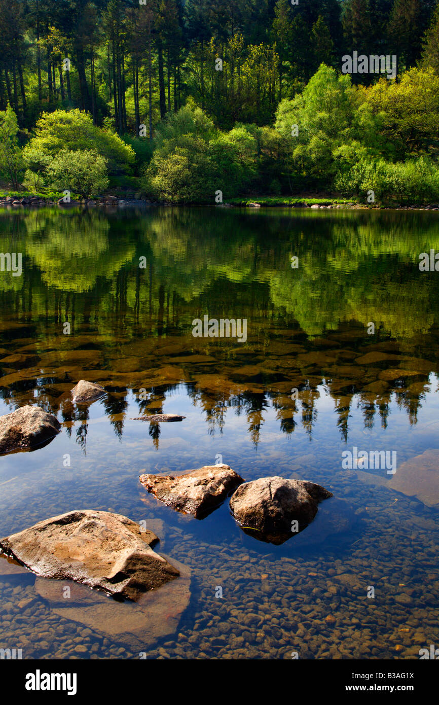 Riflessioni in Llynnau Mymbyr Snowdonia Galles del Nord Foto Stock