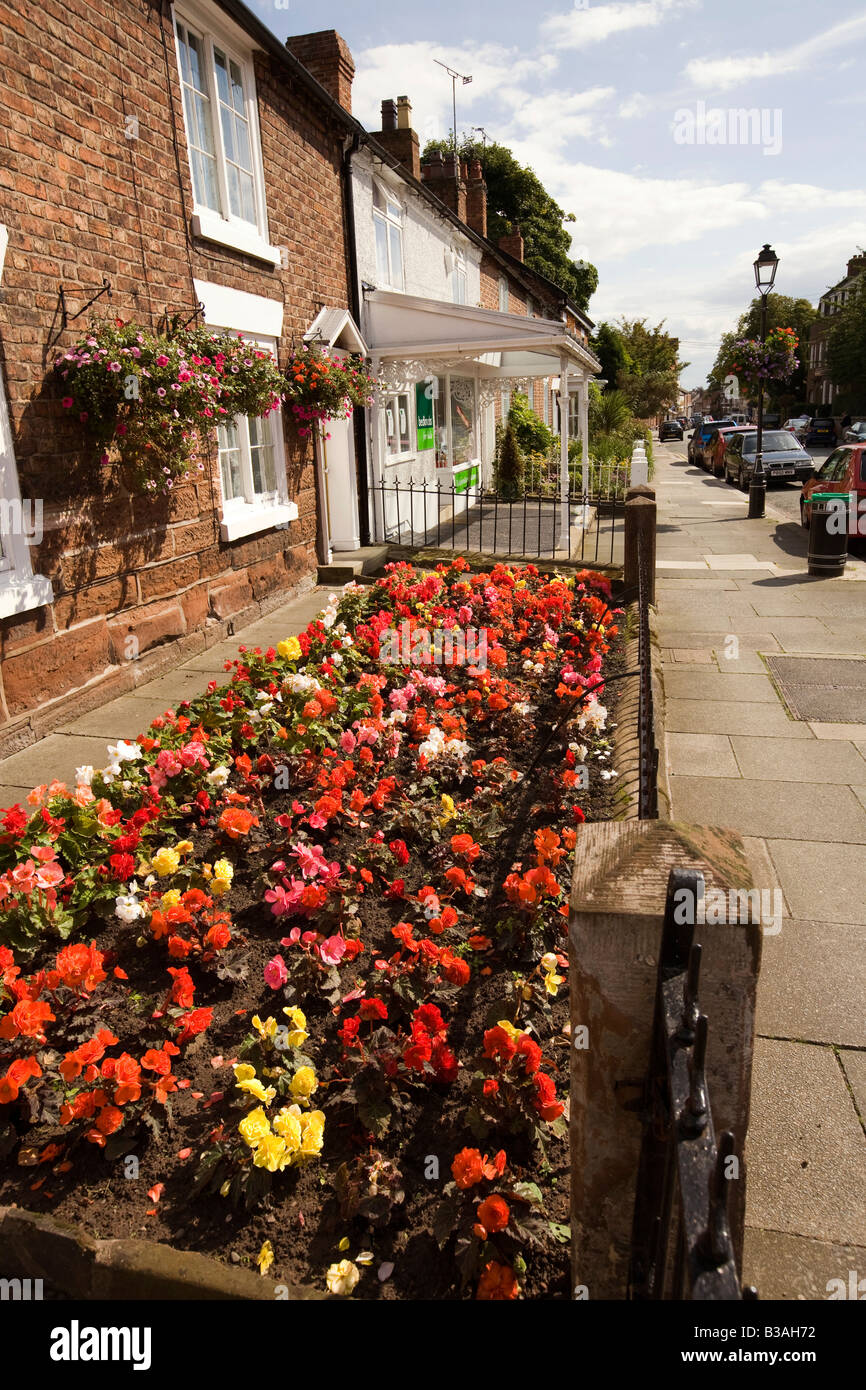 Regno Unito Cheshire Tarporley High Street begonie colorate in casa a schiera giardino anteriore Foto Stock