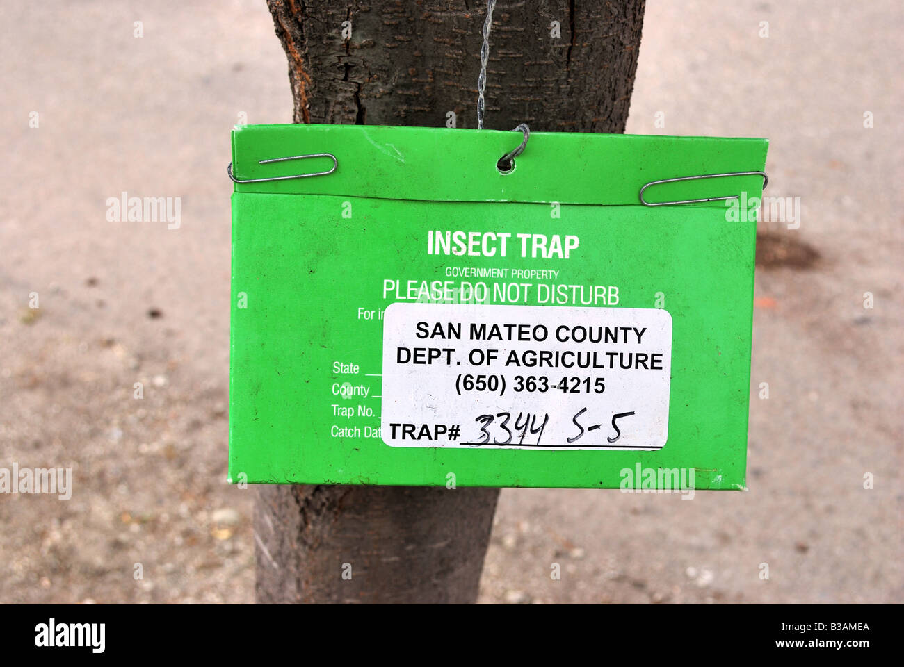 County Dipartimento Agricoltura utilizza le trappole per insetti per monitorare le invasioni di insetti Foto Stock