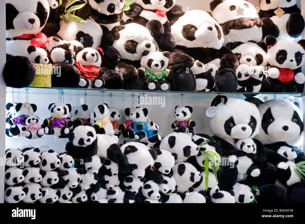 Panda gigante di peluche morbido bambole giocattolo in vendita nel negozio  a Chengdu nella provincia del Sichuan in Cina JMH3275 Foto stock - Alamy
