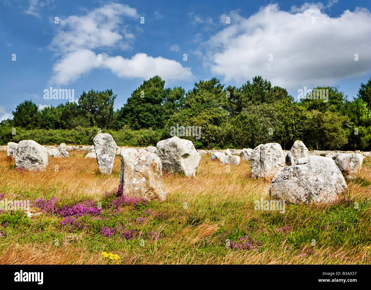 Carnac, Brittany, Francia - Alignements du Menec pietre permanente Foto Stock